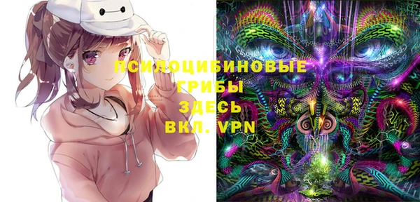 ALPHA-PVP Богородицк