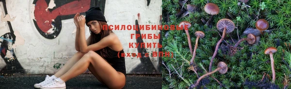прущий лед Богородск