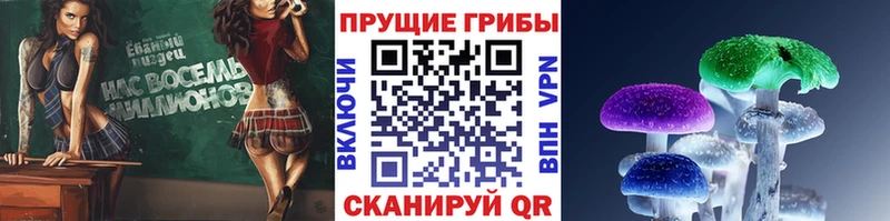 Купить где  Аксай  Галлюциногенные грибы Psilocybe 